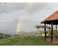 Explore The Perfect Farm and Ranch Property in Costa Rica