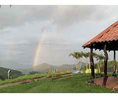 Explore The Perfect Farm and Ranch Property in Costa Rica