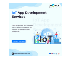 Grow Your Business With CDN Solutions IoT Development Services