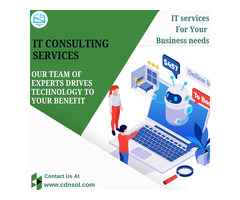 Hire CDN Solutions And Optimize Your Business With IT Consulting Services.